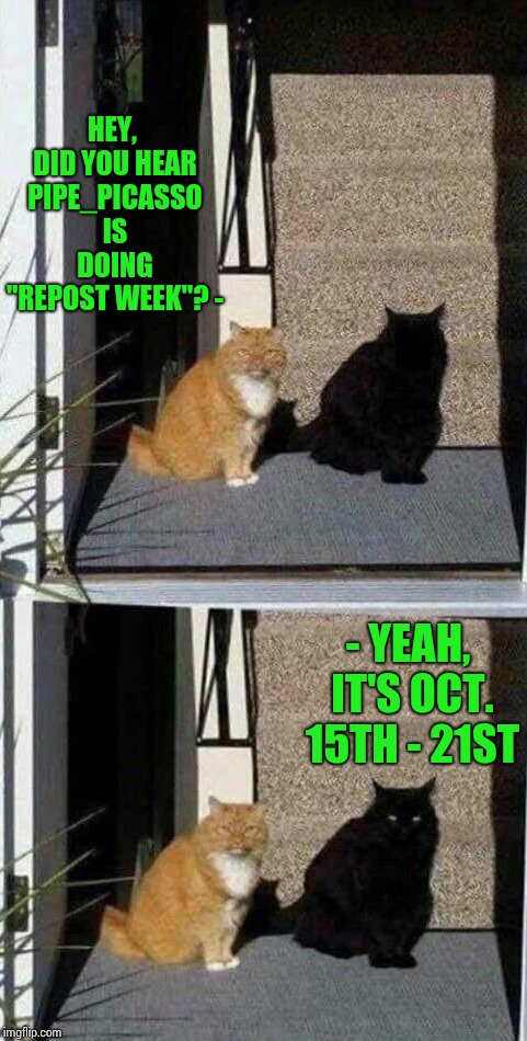 Repost week, repost yours or someone else's | HEY, DID YOU HEAR PIPE_PICASSO IS DOING "REPOST WEEK"? -; - YEAH, IT'S OCT. 15TH - 21ST | image tagged in repost week,cats,pipe_picasso | made w/ Imgflip meme maker