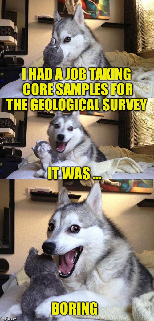 Bad Pun Dog | I HAD A JOB TAKING CORE SAMPLES FOR THE GEOLOGICAL SURVEY; IT WAS ... BORING | image tagged in memes,bad pun dog | made w/ Imgflip meme maker