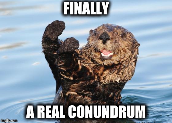 otter celebration | FINALLY A REAL CONUNDRUM | image tagged in otter celebration | made w/ Imgflip meme maker