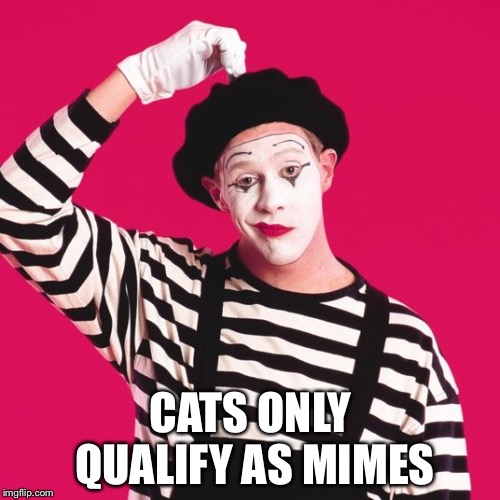 confused mime | CATS ONLY QUALIFY AS MIMES | image tagged in confused mime | made w/ Imgflip meme maker