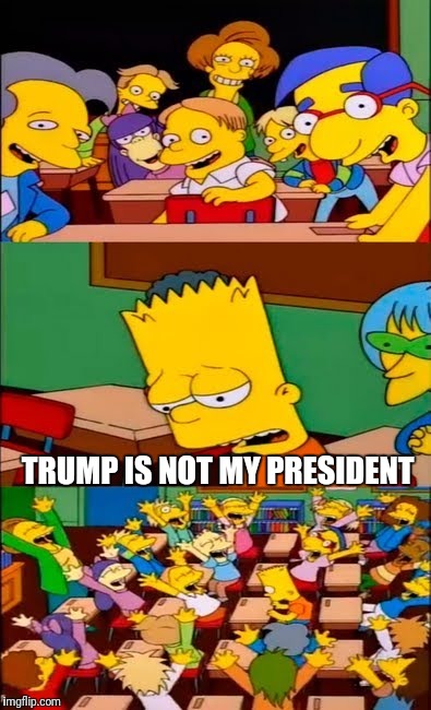 say the line bart! simpsons | TRUMP IS NOT MY PRESIDENT | image tagged in say the line bart simpsons | made w/ Imgflip meme maker