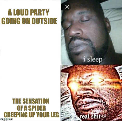 Sleeping Shaq Meme | A LOUD PARTY GOING ON OUTSIDE; THE SENSATION OF A SPIDER CREEPING UP YOUR LEG | image tagged in memes,sleeping shaq | made w/ Imgflip meme maker