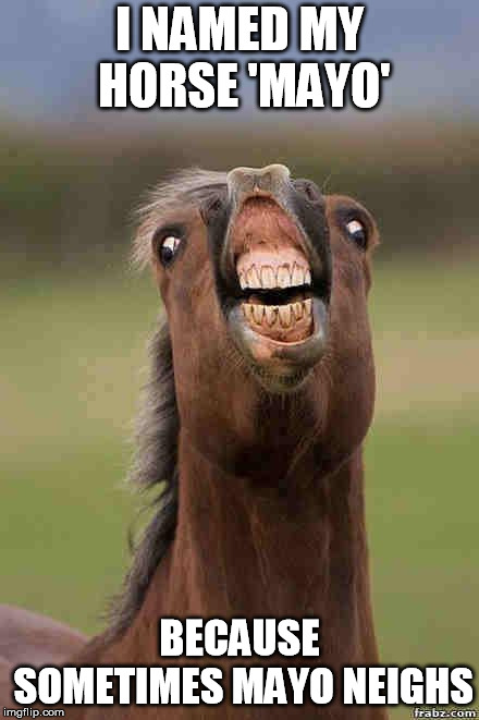 horse face | I NAMED MY HORSE 'MAYO'; BECAUSE SOMETIMES MAYO NEIGHS | image tagged in horse face | made w/ Imgflip meme maker