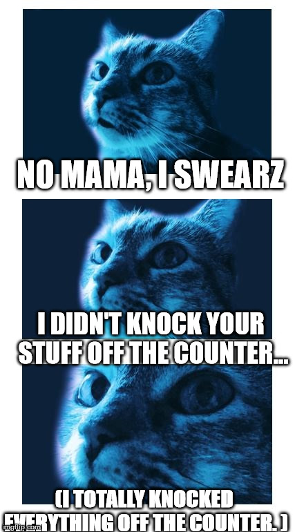 Blue Cat is Judging You | NO MAMA, I SWEARZ; I DIDN'T KNOCK YOUR STUFF OFF THE COUNTER... (I TOTALLY KNOCKED EVERYTHING OFF THE COUNTER. ) | image tagged in blue cat is judging you | made w/ Imgflip meme maker