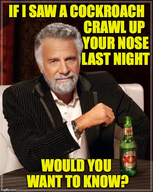 Nevermind why I'm asking! | CRAWL UP YOUR NOSE LAST NIGHT; IF I SAW A COCKROACH; WOULD YOU WANT TO KNOW? | image tagged in memes,the most interesting man in the world,friendship | made w/ Imgflip meme maker