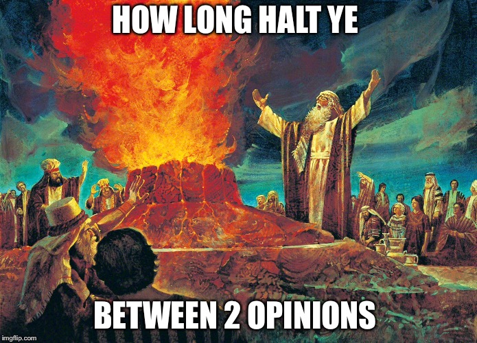 Elijah for everyone  | HOW LONG HALT YE; BETWEEN 2 OPINIONS | image tagged in vote | made w/ Imgflip meme maker