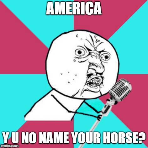 Y U No Music Mic | AMERICA Y U NO NAME YOUR HORSE? | image tagged in y u no music mic | made w/ Imgflip meme maker