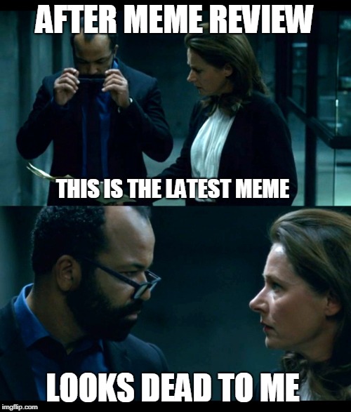 WestWorld: Doesn't look like anything to me | AFTER MEME REVIEW; THIS IS THE LATEST MEME; LOOKS DEAD TO ME | image tagged in westworld doesn't look like anything to me | made w/ Imgflip meme maker