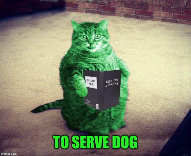 Best RayCat Meme Eva | TO SERVE DOG | image tagged in best raycat meme eva | made w/ Imgflip meme maker