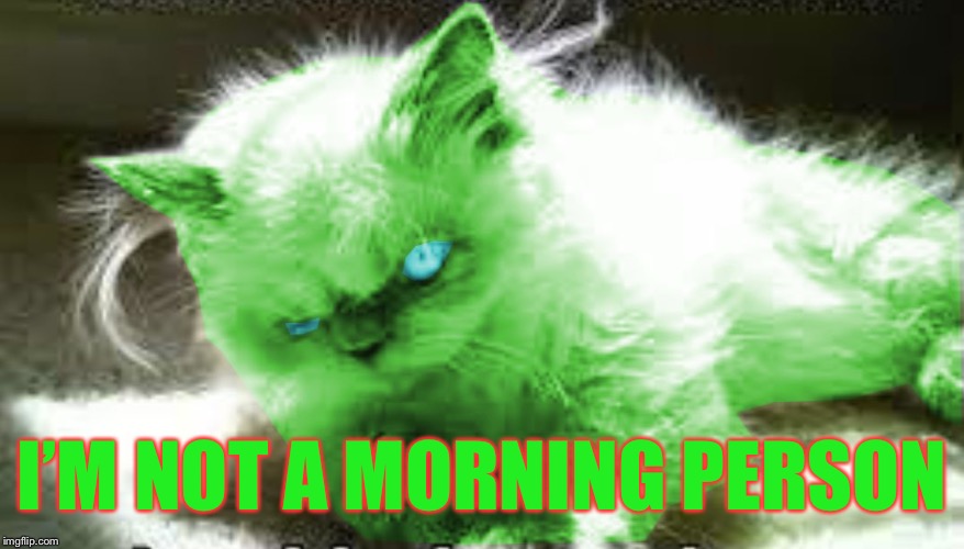 mad raycat | I’M NOT A MORNING PERSON | image tagged in mad raycat | made w/ Imgflip meme maker