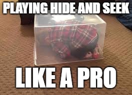 PLAYING HIDE AND SEEK LIKE A PRO | made w/ Imgflip meme maker