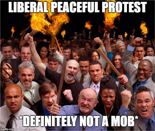 Angry mob | LIBERAL PEACEFUL PROTEST; *DEFINITELY NOT A MOB* | image tagged in angry mob | made w/ Imgflip meme maker