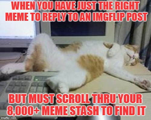 THE STRUGGLE IS REAL | WHEN YOU HAVE JUST THE RIGHT MEME TO REPLY TO AN IMGFLIP POST; BUT MUST SCROLL THRU YOUR 8,000+ MEME STASH TO FIND IT | image tagged in memes,imgflip,too many memes,posting memes,imgflippers | made w/ Imgflip meme maker