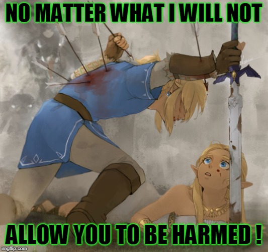 Zelda protecting | NO MATTER WHAT I WILL NOT; ALLOW YOU TO BE HARMED ! | image tagged in zelda protecting | made w/ Imgflip meme maker