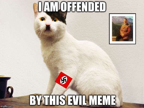 Hitler Cat | I AM OFFENDED BY THIS EVIL MEME | image tagged in hitler cat | made w/ Imgflip meme maker
