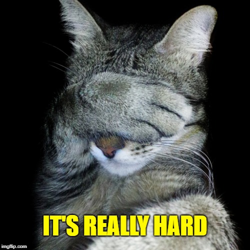 Cat face palm | IT'S REALLY HARD | image tagged in cat face palm | made w/ Imgflip meme maker