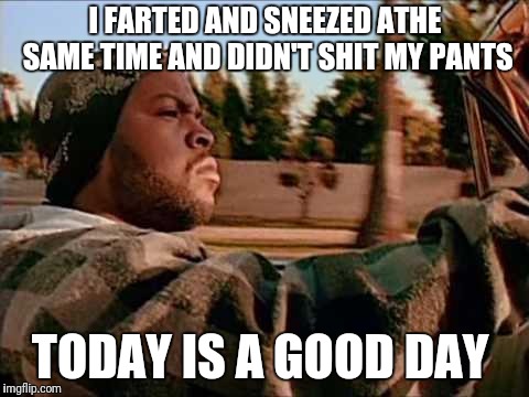 ice cube | I FARTED AND SNEEZED ATHE SAME TIME AND DIDN'T SHIT MY PANTS TODAY IS A GOOD DAY | image tagged in ice cube | made w/ Imgflip meme maker