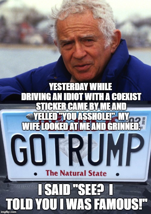 famous | YESTERDAY WHILE DRIVING AN IDIOT WITH A COEXIST STICKER CAME BY ME AND YELLED "YOU ASSHOLE!"  MY WIFE LOOKED AT ME AND GRINNED. I SAID "SEE?  I TOLD YOU I WAS FAMOUS!" | image tagged in donald trump,fame | made w/ Imgflip meme maker