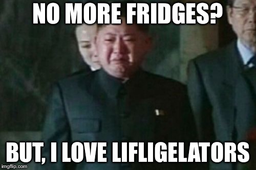 Kim Jong Un Sad | NO MORE FRIDGES? BUT, I LOVE LIFLIGELATORS | image tagged in memes,kim jong un sad | made w/ Imgflip meme maker