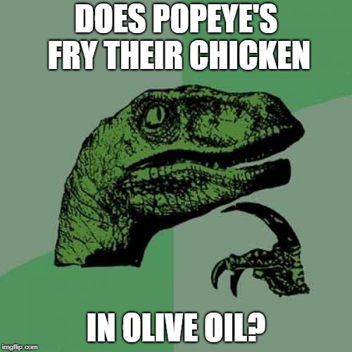 Philosoraptor Meme | DOES POPEYE'S FRY THEIR CHICKEN; IN OLIVE OIL? | image tagged in memes,philosoraptor | made w/ Imgflip meme maker