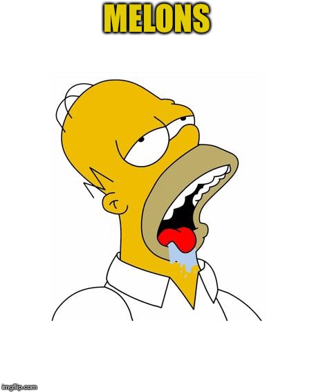 Homer Simpson Drooling | MELONS | image tagged in homer simpson drooling | made w/ Imgflip meme maker