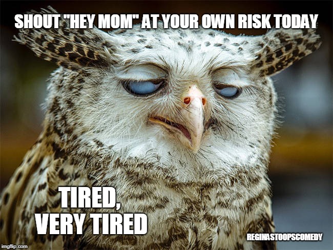 Tired Mom | SHOUT "HEY MOM" AT YOUR OWN RISK TODAY; TIRED, VERY TIRED; REGINASTOOPSCOMEDY | image tagged in mom,kids,tired mom | made w/ Imgflip meme maker