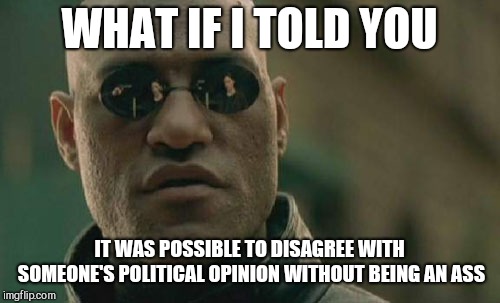 Matrix Morpheus | WHAT IF I TOLD YOU; IT WAS POSSIBLE TO DISAGREE WITH SOMEONE'S POLITICAL OPINION WITHOUT BEING AN ASS | image tagged in memes,matrix morpheus | made w/ Imgflip meme maker