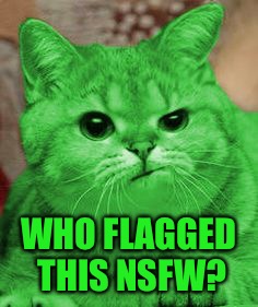 RayCat Annoyed | WHO FLAGGED THIS NSFW? | image tagged in raycat annoyed | made w/ Imgflip meme maker