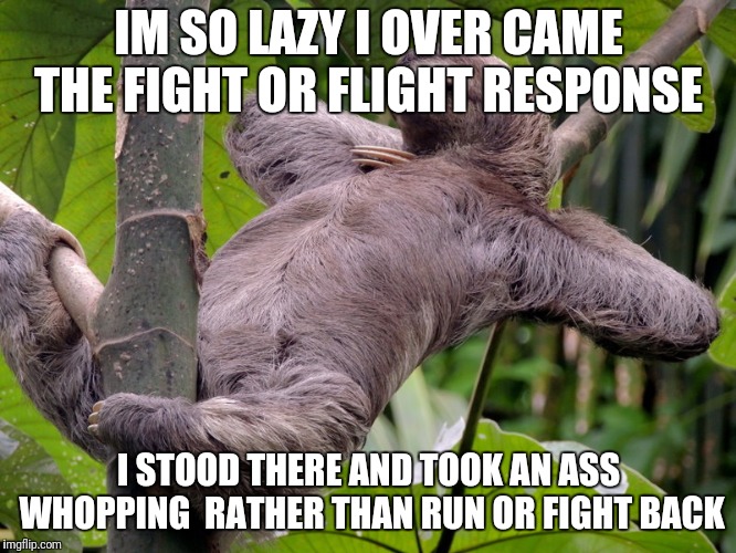 Lazy Sloth | IM SO LAZY I OVER CAME THE FIGHT OR FLIGHT RESPONSE; I STOOD THERE AND TOOK AN ASS WHOPPING  RATHER THAN RUN OR FIGHT BACK | image tagged in lazy sloth | made w/ Imgflip meme maker