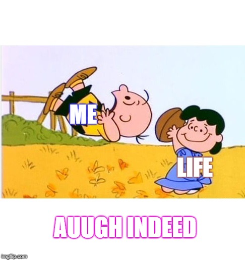 life | ME; LIFE; AUUGH INDEED | image tagged in funny | made w/ Imgflip meme maker