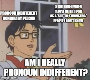 Am I really Pronoun Indifferent? | IS BOTHERED WHEN PEOPLE REFER TO ME AS A 'SHE' TO STRANGERS/ PEOPLE I DON'T KNOW | image tagged in gender identity,transgender | made w/ Imgflip meme maker