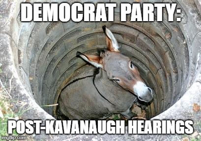 What Doubling-Down On Insane Gets You | DEMOCRAT PARTY:; POST-KAVANAUGH HEARINGS | image tagged in donkey | made w/ Imgflip meme maker