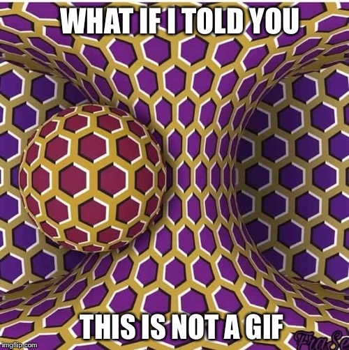 Not a gif | WHAT IF I TOLD YOU; THIS IS NOT A GIF | image tagged in what if i told you,optical illusion,memes | made w/ Imgflip meme maker