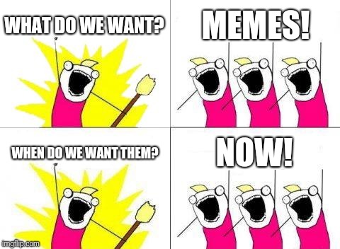 What Do We Want | WHAT DO WE WANT? MEMES! WHEN DO WE WANT THEM? NOW! | image tagged in memes,what do we want | made w/ Imgflip meme maker