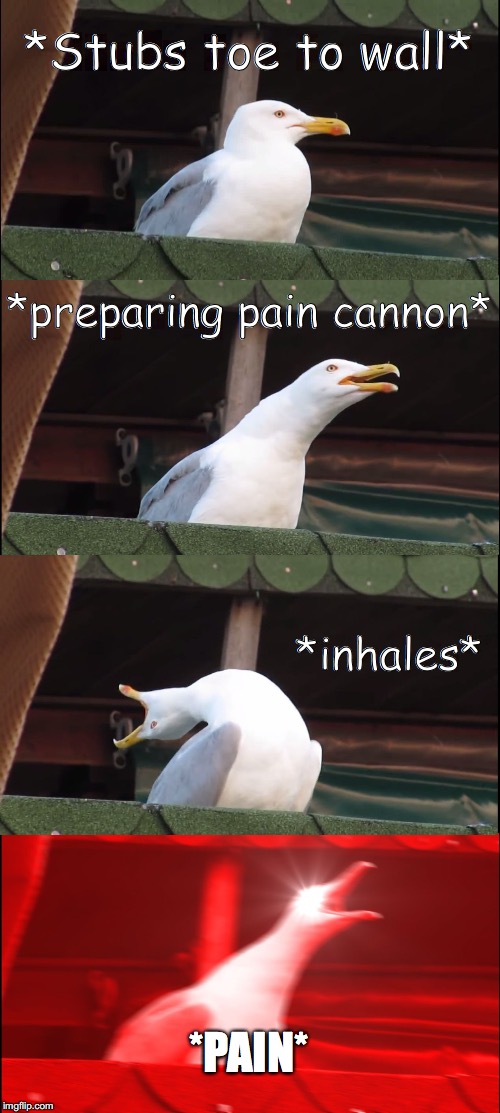 Inhaling Seagull | *Stubs toe to wall*; *preparing pain cannon*; *inhales*; *PAIN* | image tagged in memes,inhaling seagull | made w/ Imgflip meme maker