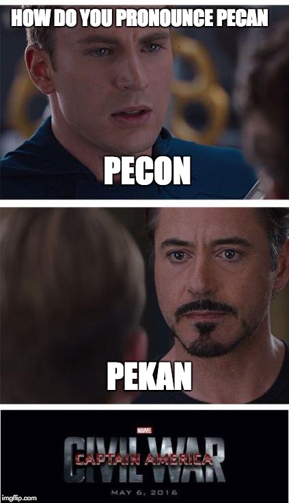 how do you pronounce pecan?? | HOW DO YOU PRONOUNCE PECAN; PECON; PEKAN | image tagged in memes,marvel civil war 1 | made w/ Imgflip meme maker