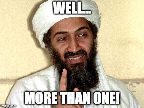 Osama bin Laden | WELL... MORE THAN ONE! | image tagged in osama bin laden | made w/ Imgflip meme maker