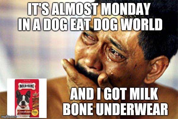 Oh No! | IT'S ALMOST MONDAY IN A DOG EAT DOG WORLD; AND I GOT MILK BONE UNDERWEAR | image tagged in monday,dog,man crying | made w/ Imgflip meme maker