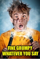 FINE GRUMPY WHATEVER YOU SAY | made w/ Imgflip meme maker