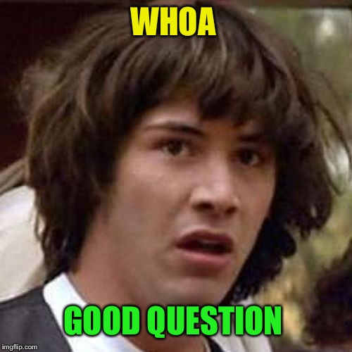 whoa | WHOA GOOD QUESTION | image tagged in whoa | made w/ Imgflip meme maker