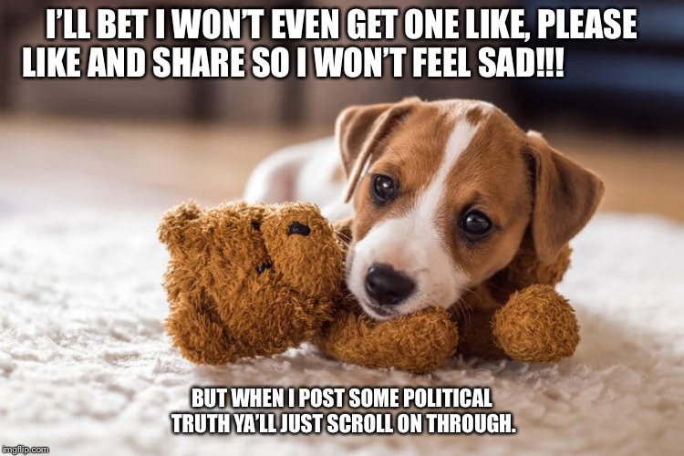 Non-political Puppy | I’LL BET I WON’T EVEN GET ONE LIKE, PLEASE LIKE AND SHARE SO I WON’T FEEL SAD!!! BUT WHEN I POST SOME POLITICAL TRUTH YA’LL JUST SCROLL ON THROUGH. | image tagged in puppy,politics,political,share,sharing,unloved | made w/ Imgflip meme maker