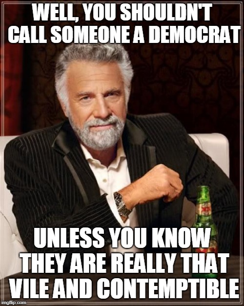 The Most Interesting Man In The World Meme | WELL, YOU SHOULDN'T CALL SOMEONE A DEMOCRAT UNLESS YOU KNOW THEY ARE REALLY THAT VILE AND CONTEMPTIBLE | image tagged in memes,the most interesting man in the world | made w/ Imgflip meme maker