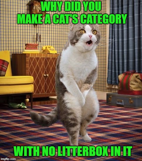 What noobie MOD dropped the ball on that one?!? | WHY DID YOU MAKE A CAT'S CATEGORY; WITH NO LITTERBOX IN IT | image tagged in holding in pee,memes,cat,funny,animals,no litterbox | made w/ Imgflip meme maker