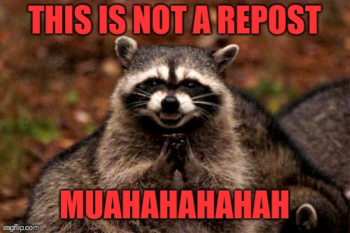 Evil Plotting Raccoon | THIS IS NOT A REPOST; MUAHAHAHAHAH | image tagged in memes,evil plotting raccoon,not a repost,44colt,repost | made w/ Imgflip meme maker