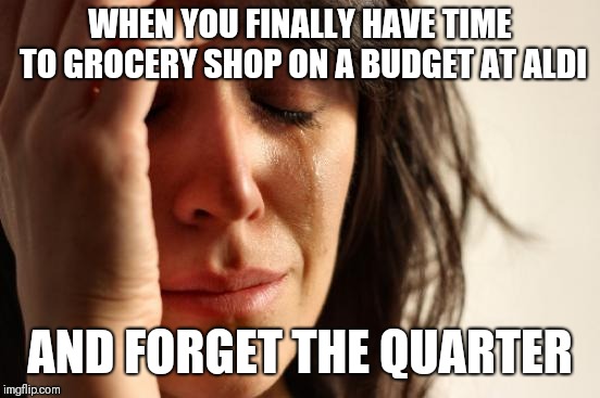 A planned trip to the grocery store can be cancelled because of a quarter | WHEN YOU FINALLY HAVE TIME TO GROCERY SHOP ON A BUDGET AT ALDI; AND FORGET THE QUARTER | image tagged in memes,first world problems | made w/ Imgflip meme maker