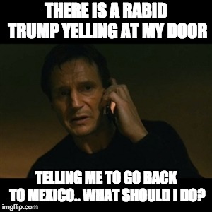 Rabid Trump | THERE IS A RABID TRUMP YELLING AT MY DOOR; TELLING ME TO GO BACK TO MEXICO.. WHAT SHOULD I DO? | image tagged in memes,liam neeson taken | made w/ Imgflip meme maker