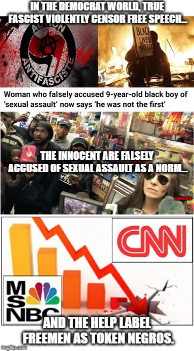 The Democrat World | IN THE DEMOCRAT WORLD, TRUE FASCIST VIOLENTLY CENSOR FREE SPEECH... THE INNOCENT ARE FALSELY ACCUSED OF SEXUAL ASSAULT AS A NORM... PARADOX3713; AND THE HELP LABEL FREEMEN AS TOKEN NEGROS. | image tagged in democrats,cnn,msnbc,fake news,racism,memes | made w/ Imgflip meme maker