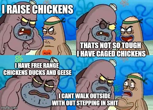 How Tough Are You Meme | I RAISE CHICKENS; THATS NOT SO TOUGH I HAVE CAGED CHICKENS; I HAVE FREE RANGE CHICKENS DUCKS AND GEESE; I CANT WALK OUTSIDE WITH OUT STEPPING IN SHIT | image tagged in memes,how tough are you | made w/ Imgflip meme maker