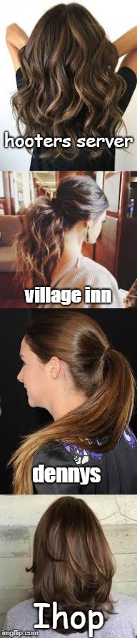 for brunette appreciation month here are some doos. | hooters server; village inn; dennys; Ihop | image tagged in meme,brunette,ponytail | made w/ Imgflip meme maker