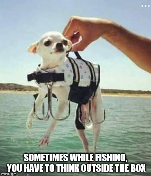 SOMETIMES WHILE FISHING, YOU HAVE TO THINK OUTSIDE THE BOX | image tagged in fishing | made w/ Imgflip meme maker